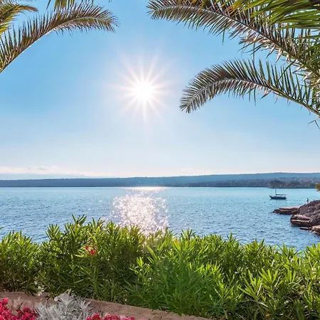 Palace Clara 3 Island Krk By Daire